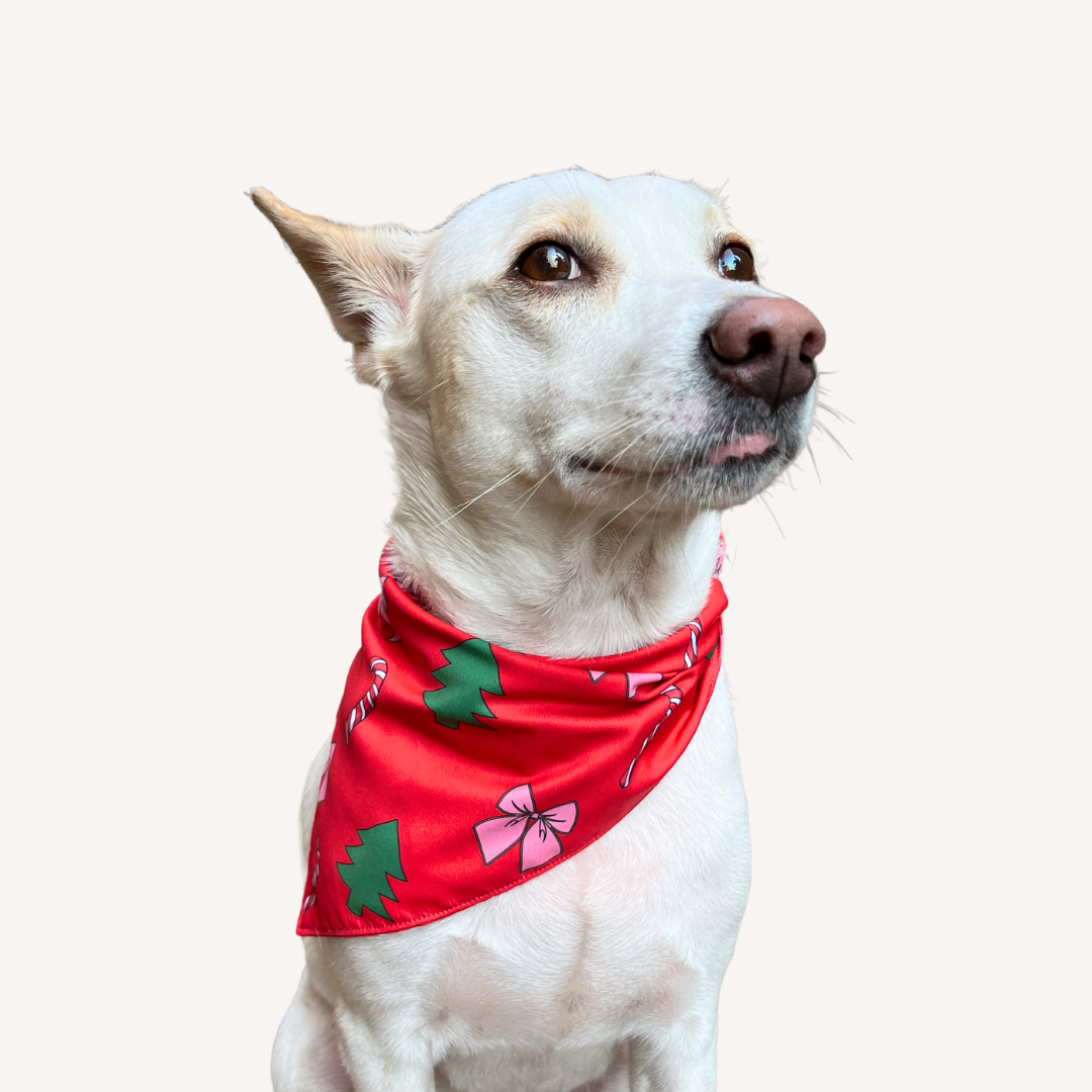 Christmas Magic Bandana