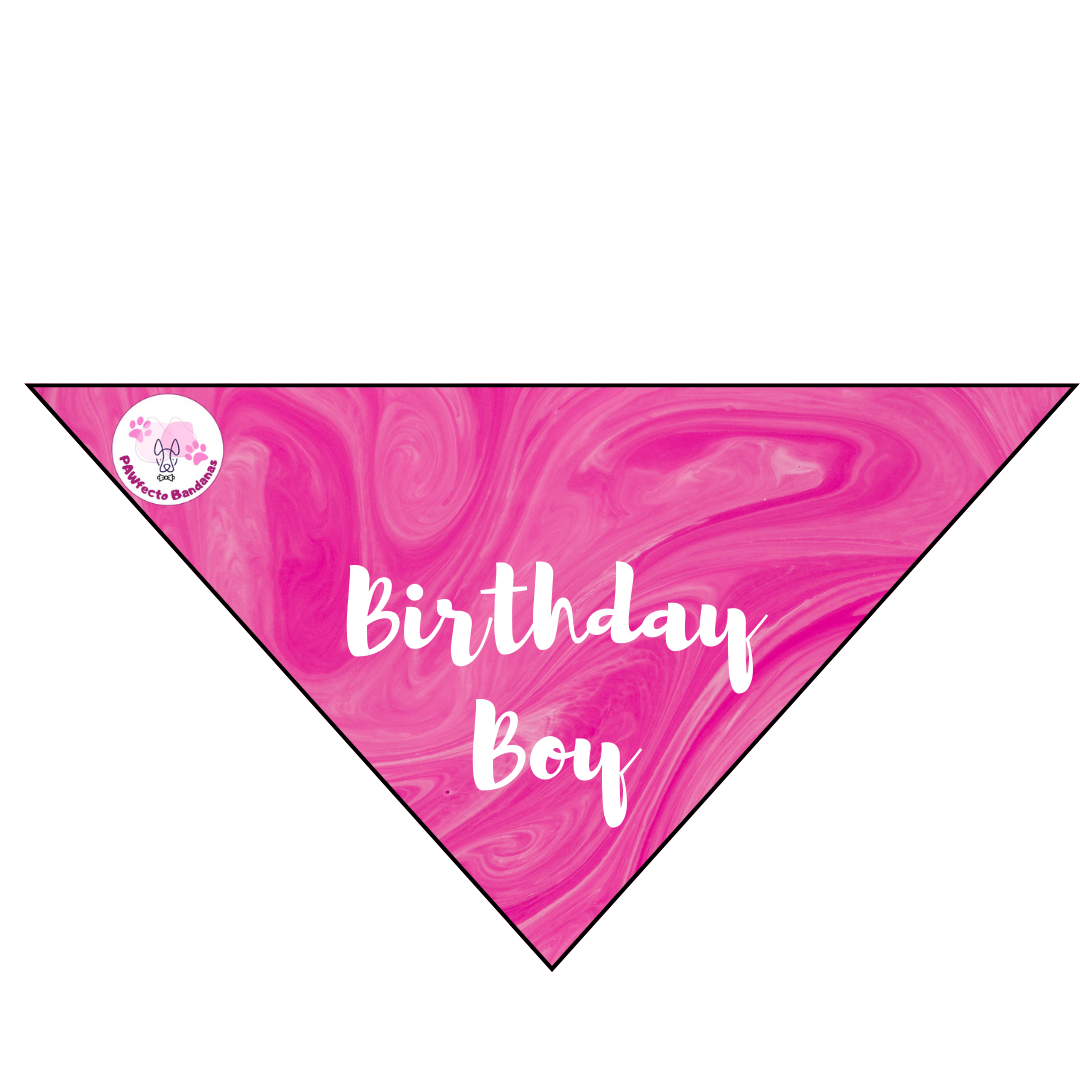 Birthday Boy Bandana